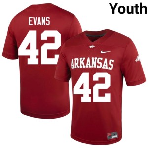 Cardinal UA Razorbacks #42 Youth Jeremy Evans NCAA College Football Jerseys 776566-764