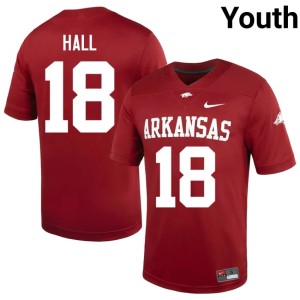 Cardinal College Football Stitched Jude Hall Arkansas Hawgs Youth #18 Jerseys 491337-559