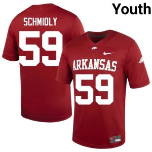 Cardinal Alumni Youth Arkansas Razorbacks #59 College Football Max Schmidly Jerseys 719641-302